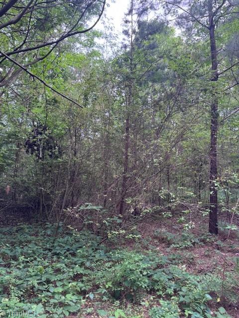 7705 Jackson School Road, Browns Summit, North Carolina image 2