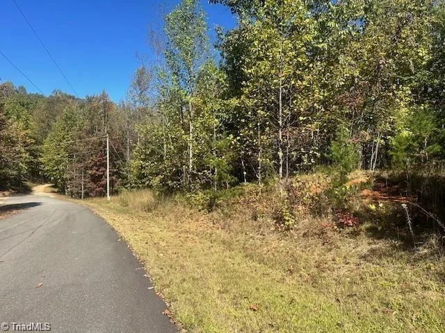 Lot 19 Longview Bluffs Dr, photo 2 of 11