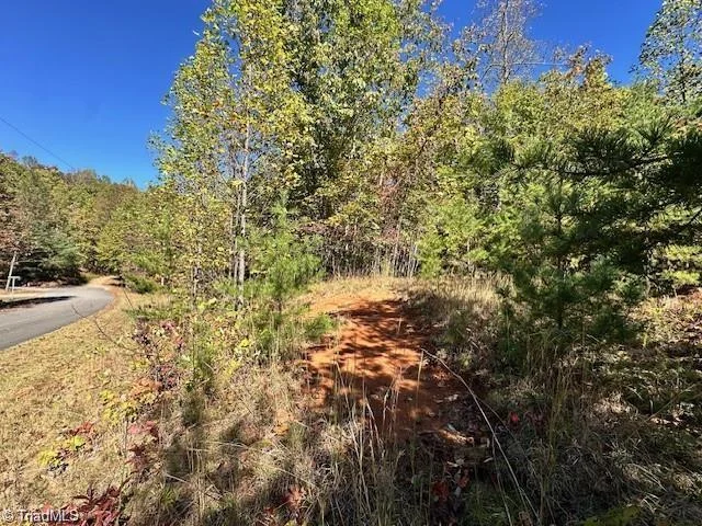 Lot 19 Longview Bluffs Dr, photo 3 of 11