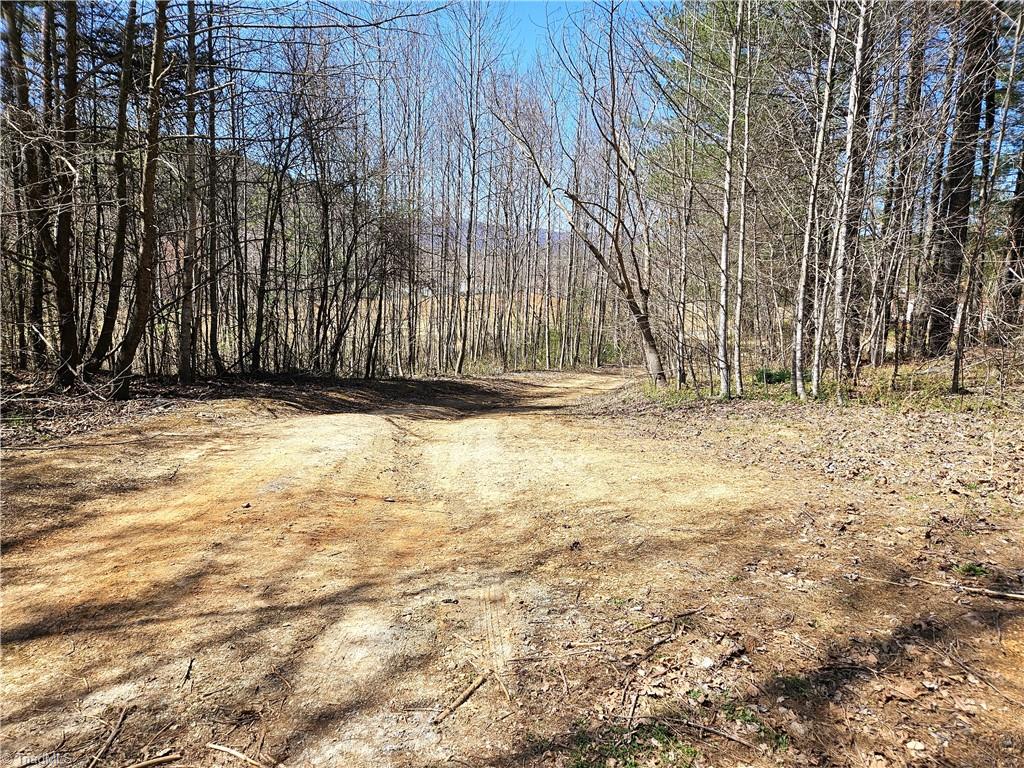 663 Hidden Valley Road, Lowgap, North Carolina image 13