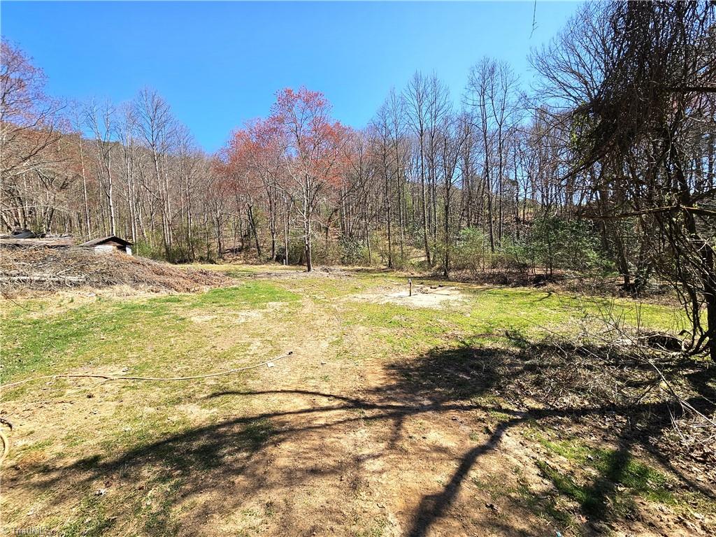 663 Hidden Valley Road, Lowgap, North Carolina image 1