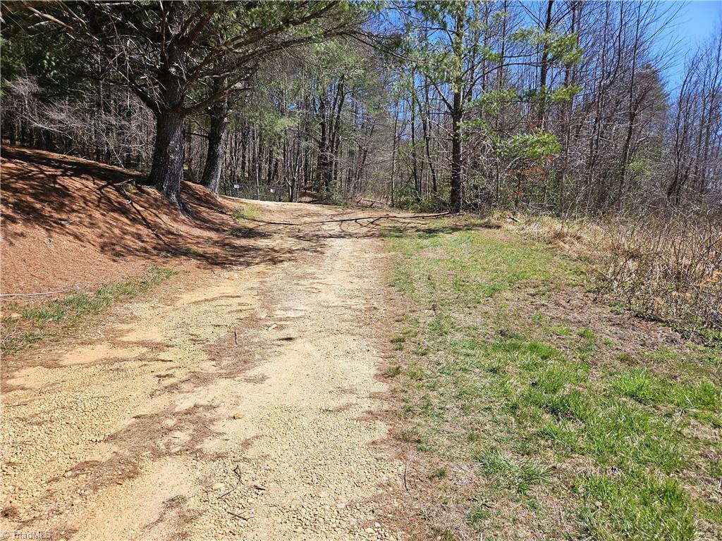 663 Hidden Valley Road, Lowgap, North Carolina image 2