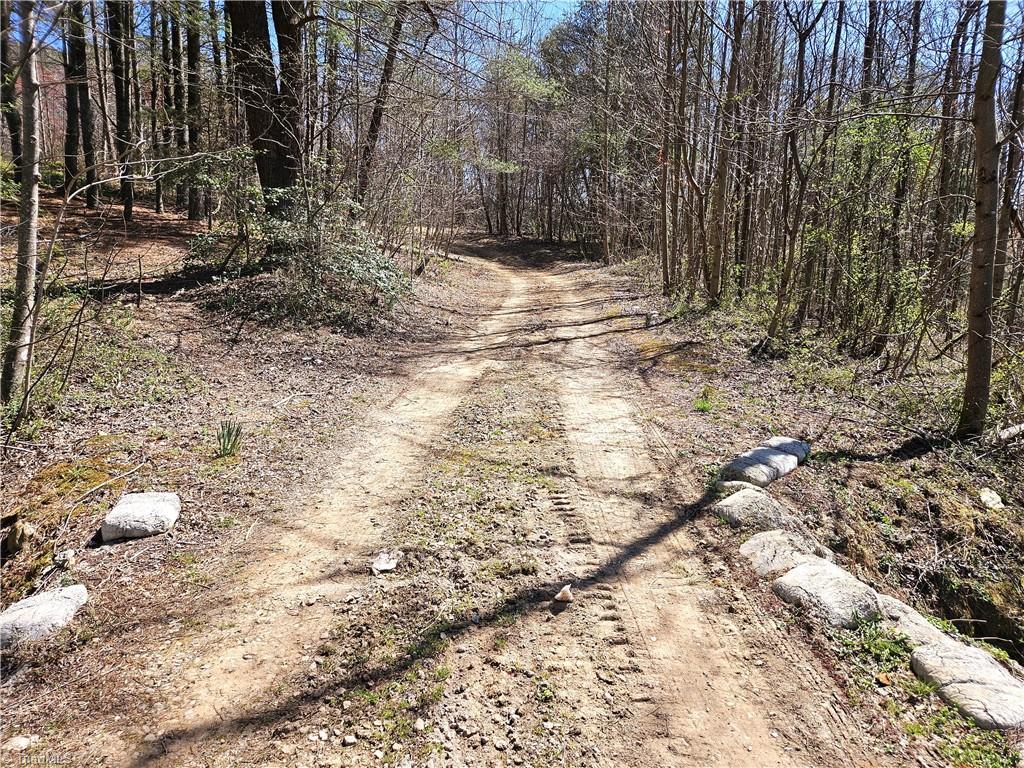 663 Hidden Valley Road, Lowgap, North Carolina image 3