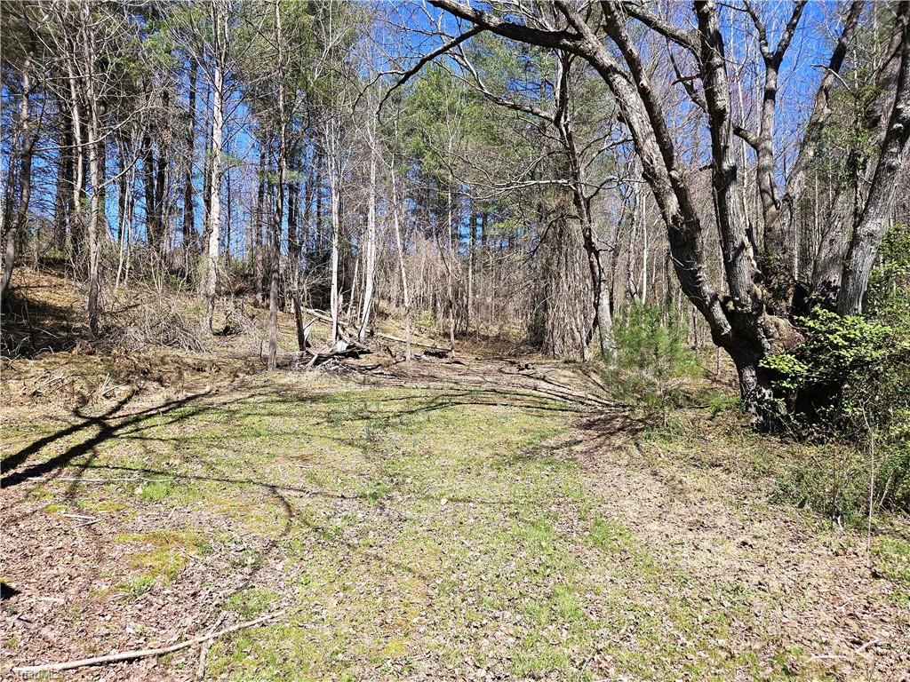 663 Hidden Valley Road, Lowgap, North Carolina image 12
