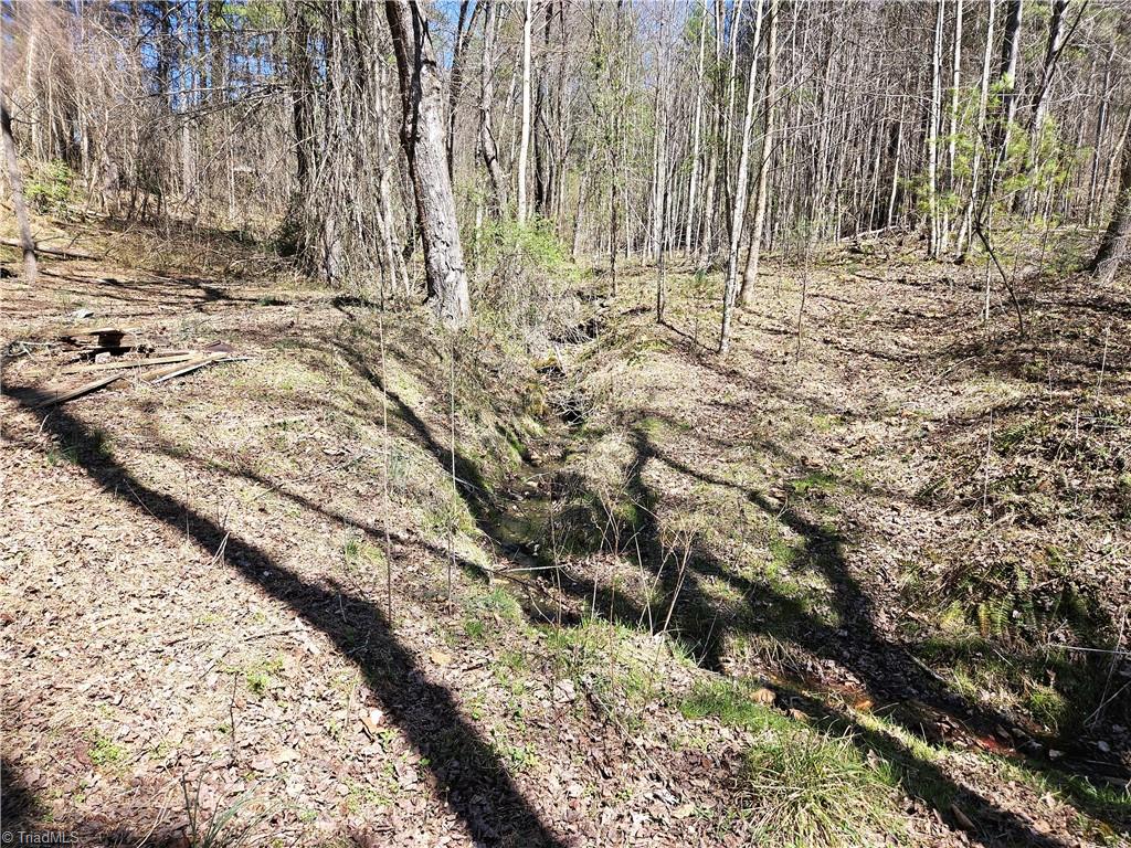 663 Hidden Valley Road, Lowgap, North Carolina image 7