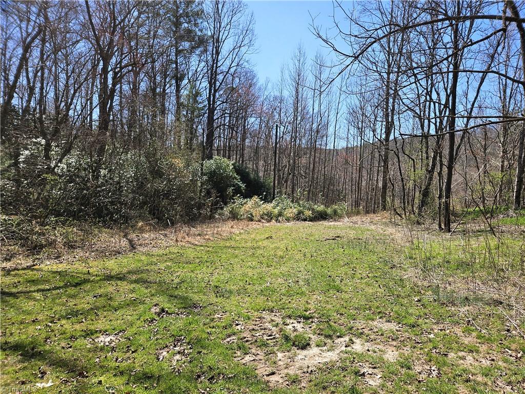 663 Hidden Valley Road, Lowgap, North Carolina image 4