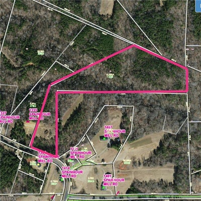 SPAINHOUR MILL RD, PINNACLE, NC 27043 - Image ccdf40efd1725319eeb072570367b8b3/3932008127