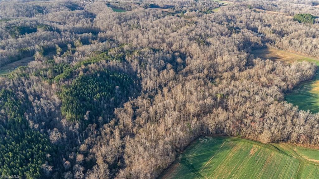 1996 Apple Road, Reidsville, North Carolina image 9