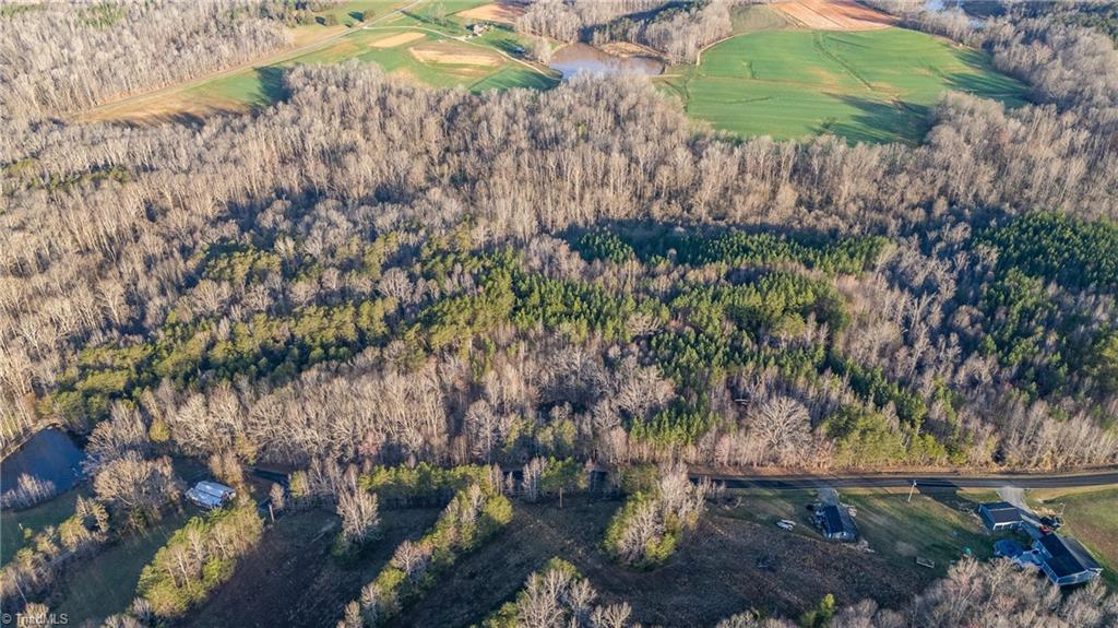 1996 Apple Road, Reidsville, North Carolina image 3