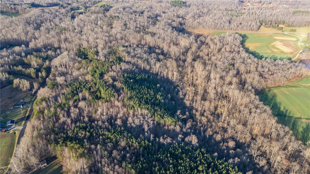 1996 Apple Road, Reidsville, North Carolina image 7