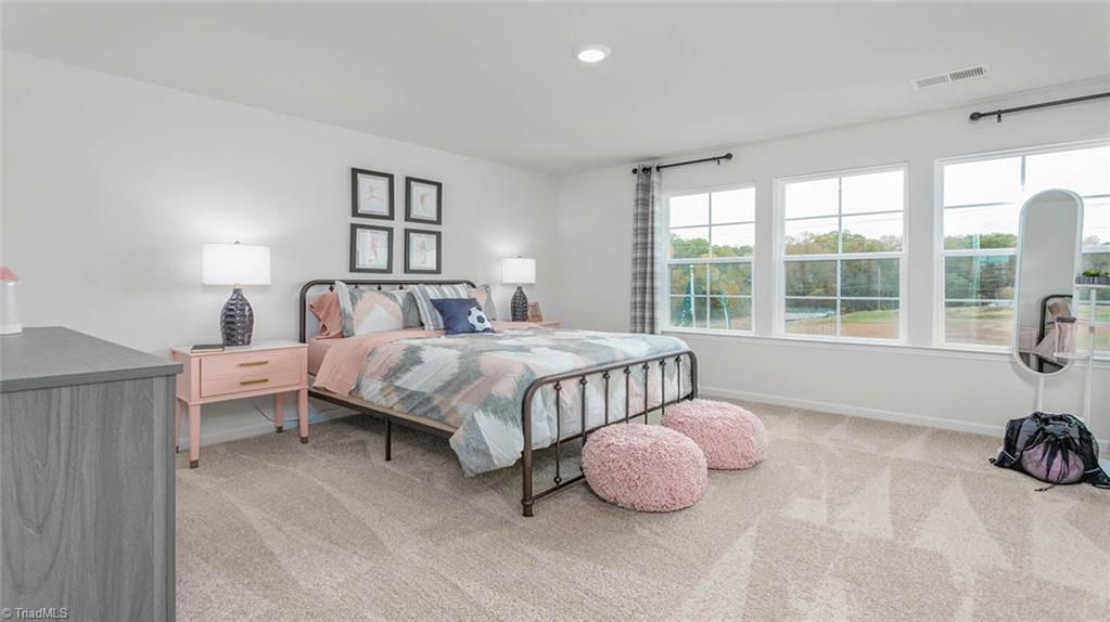 198 Indigo Bunting Court, Lexington, North Carolina image 44