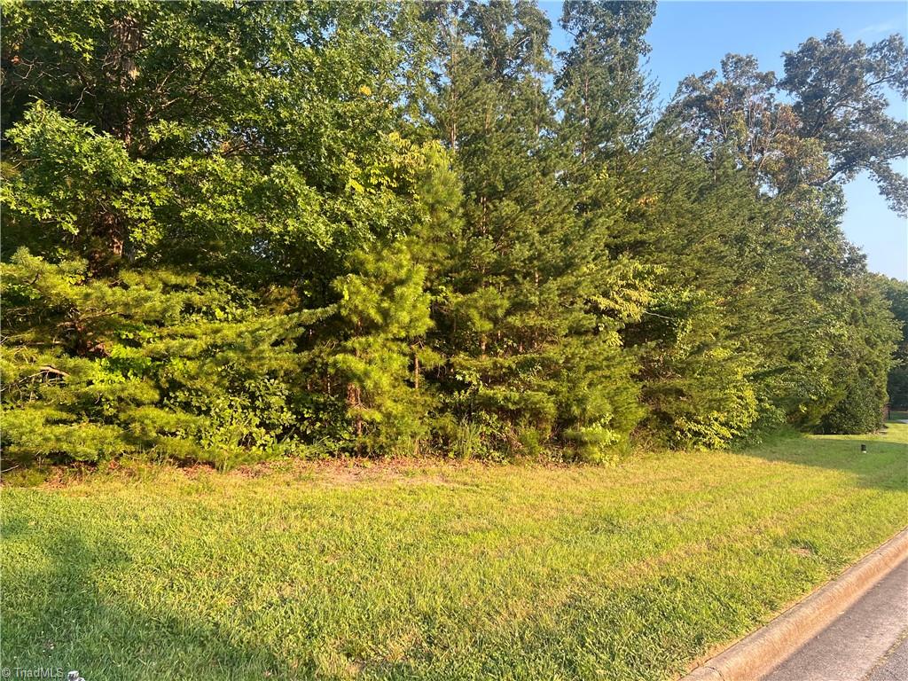 3314 Olde Sedgefield Way, Greensboro, North Carolina image 8