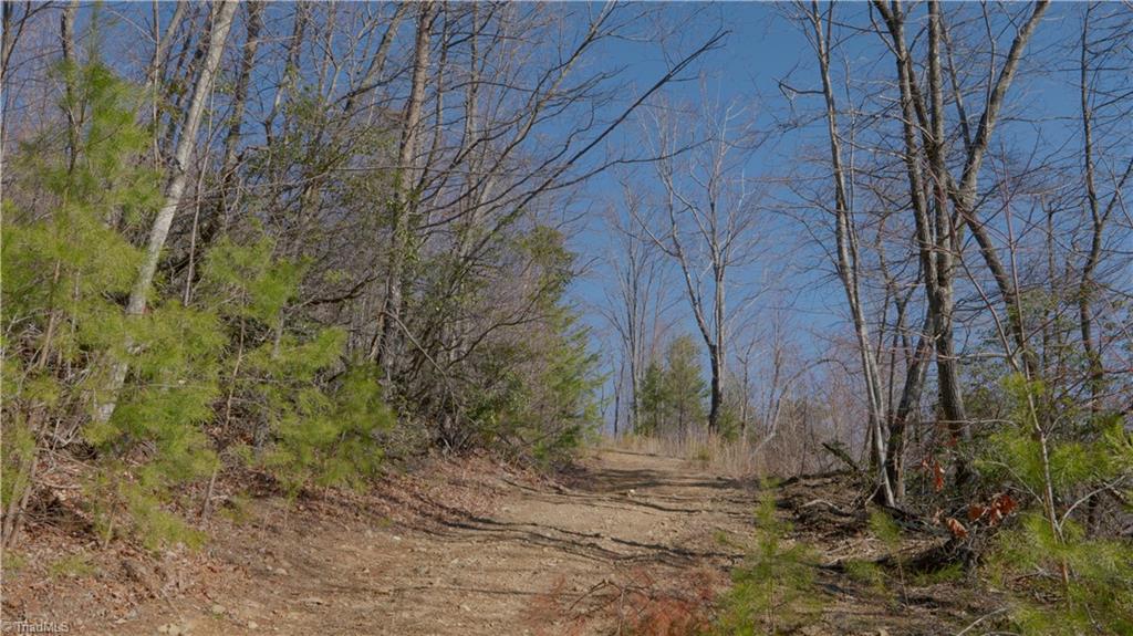 337 Goat House Road, Lambsburg, Virginia image 20