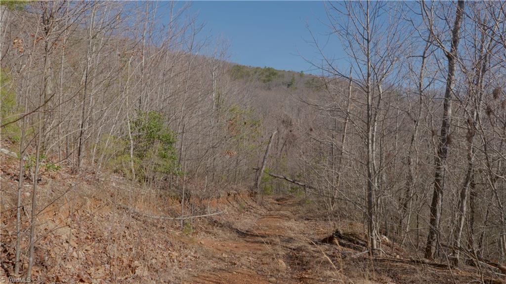 337 Goat House Road, Lambsburg, Virginia image 23