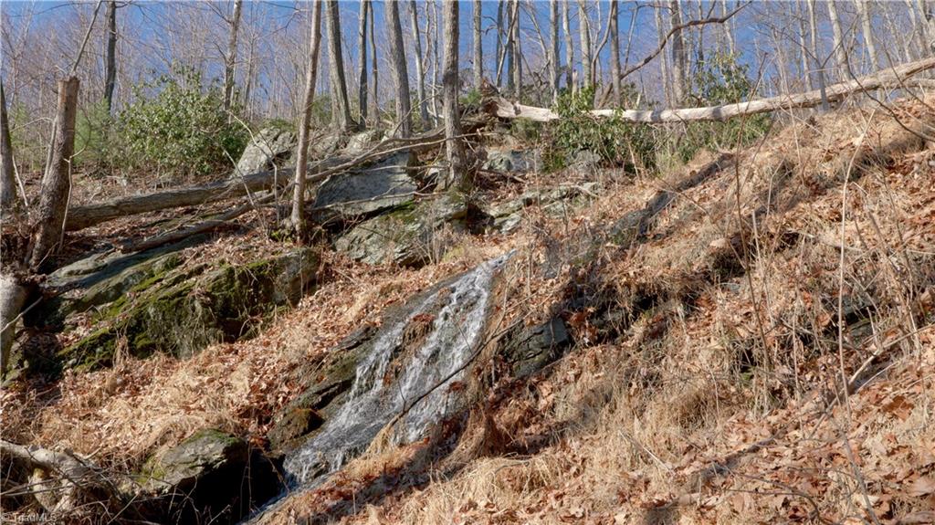 337 Goat House Road, Lambsburg, Virginia image 25