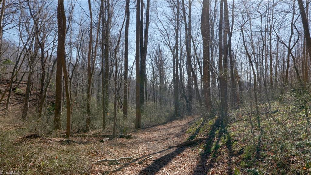 337 Goat House Road, Lambsburg, Virginia image 31