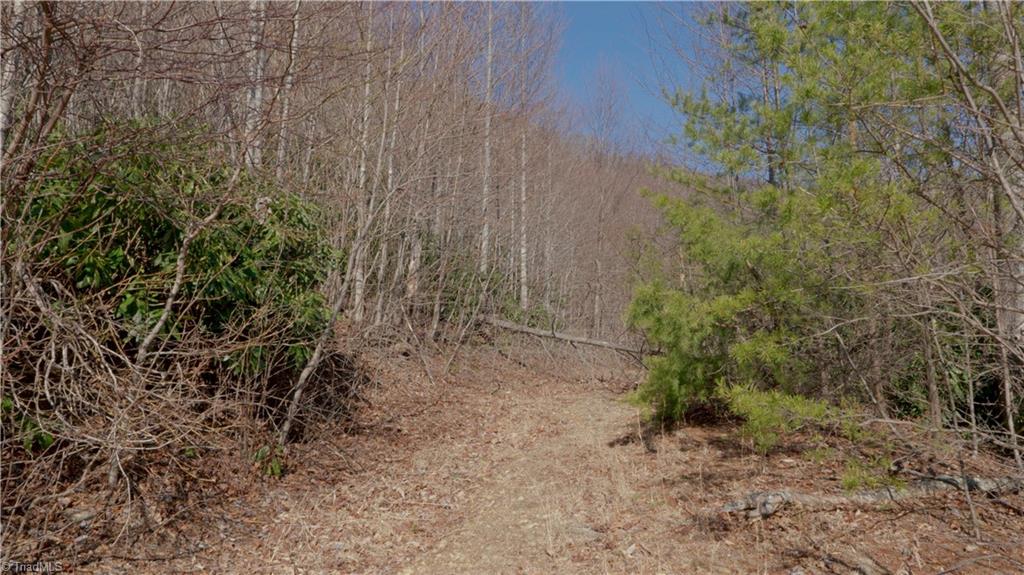 337 Goat House Road, Lambsburg, Virginia image 19