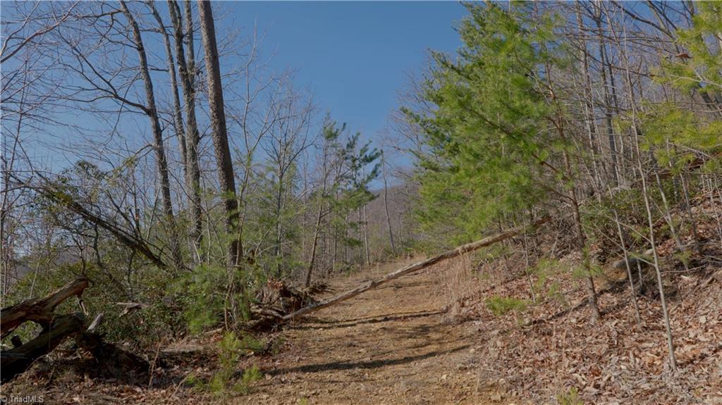 337 Goat House Road, Lambsburg, Virginia image 21