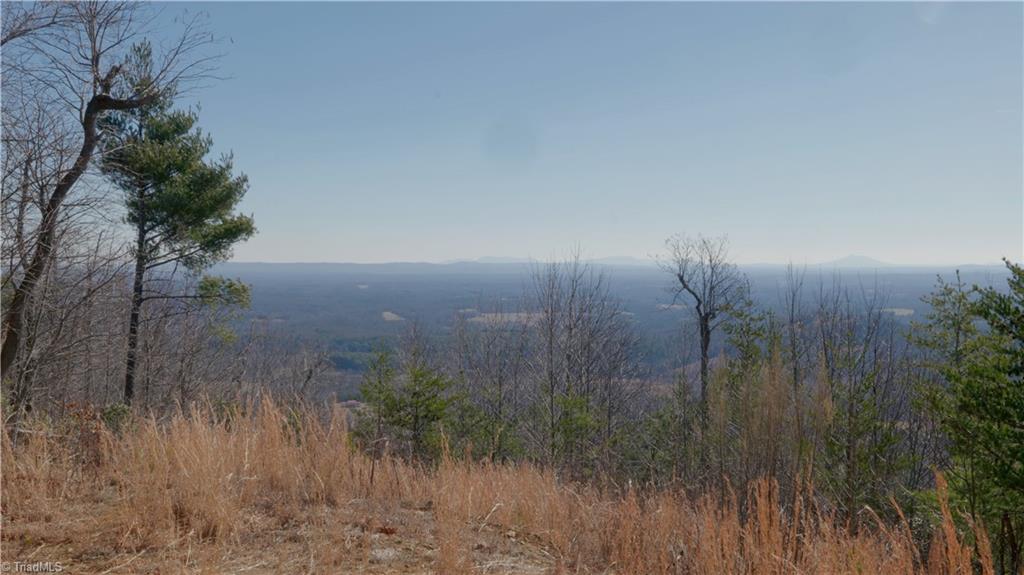 337 Goat House Road, Lambsburg, Virginia image 14