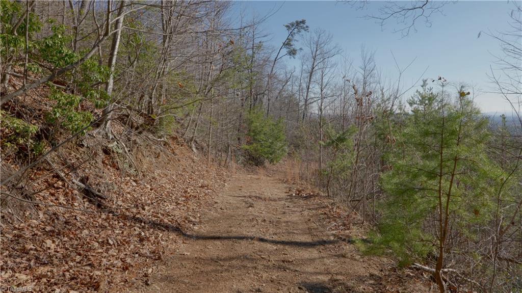 337 Goat House Road, Lambsburg, Virginia image 18