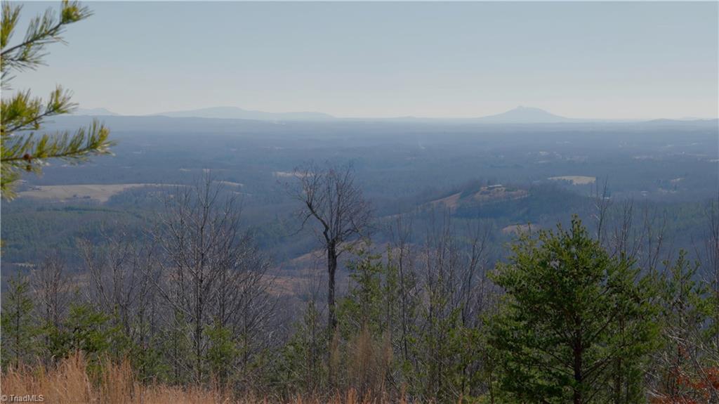 337 Goat House Road, Lambsburg, Virginia image 13