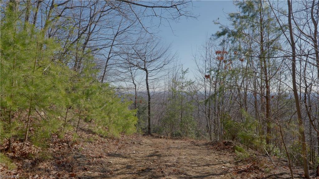 337 Goat House Road, Lambsburg, Virginia image 22