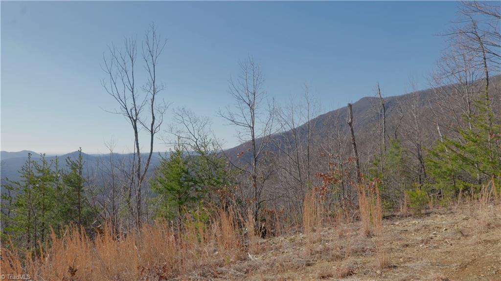 337 Goat House Road, Lambsburg, Virginia image 15