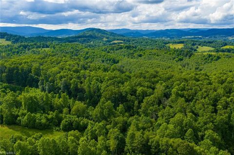 Vacant Land For Sale - TBD Phipps Dairy Road<br/> Alleghany County, Piney Creek, NC 28663