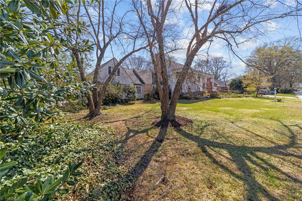 1106 Aycock Avenue, Burlington, North Carolina image 45
