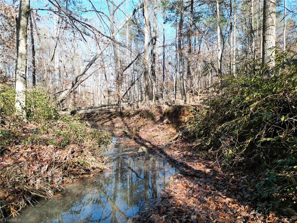 0000 Martins Mill Road, East Bend, North Carolina image 3