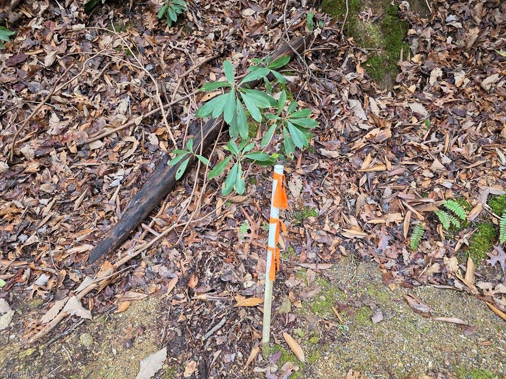 Lot 105 Holleridge Road