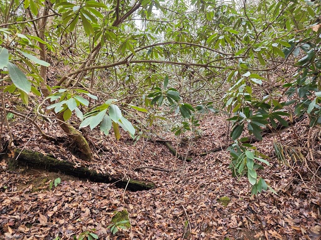 Lot 105 Holleridge Road