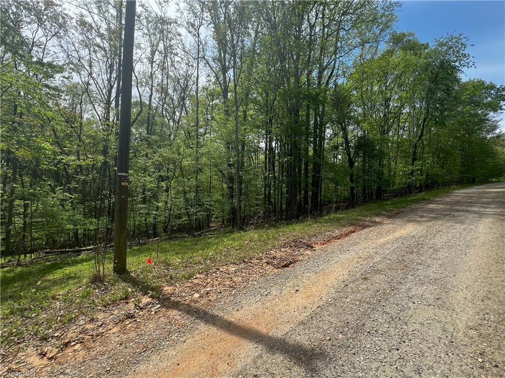 Pebble Brook Road, Sandy Ridge, North Carolina image 2