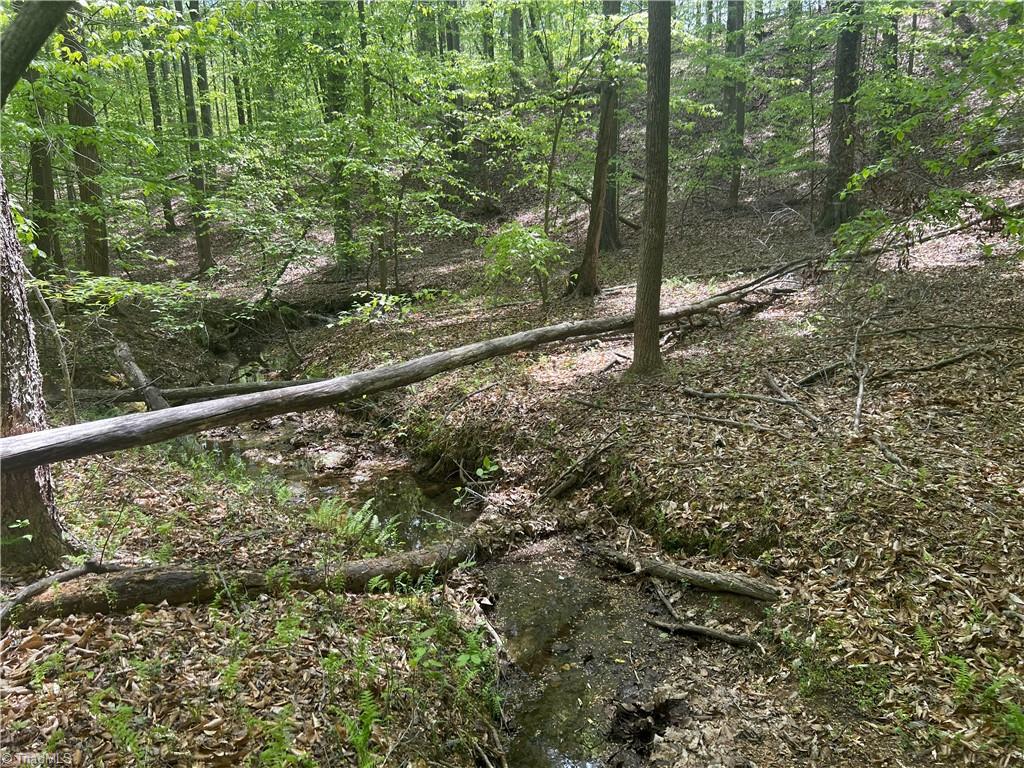 Pebble Brook Road, Sandy Ridge, North Carolina image 5