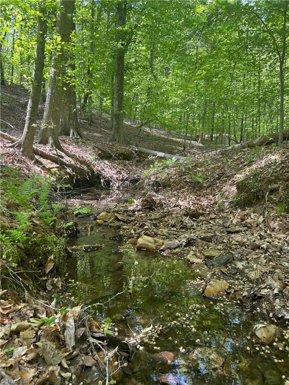 Pebble Brook Road, Sandy Ridge, North Carolina image 7