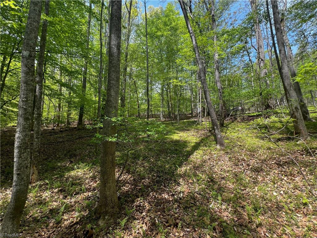 Pebble Brook Road, Sandy Ridge, North Carolina image 12