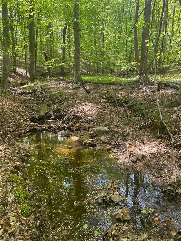 Pebble Brook Road, Sandy Ridge, North Carolina image 6