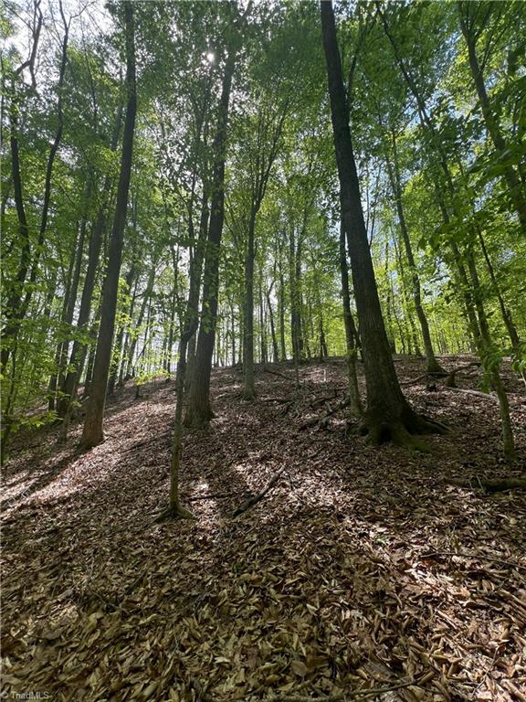 Pebble Brook Road, Sandy Ridge, North Carolina image 9