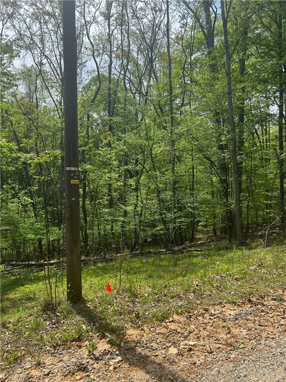 Pebble Brook Road, Sandy Ridge, North Carolina image 1