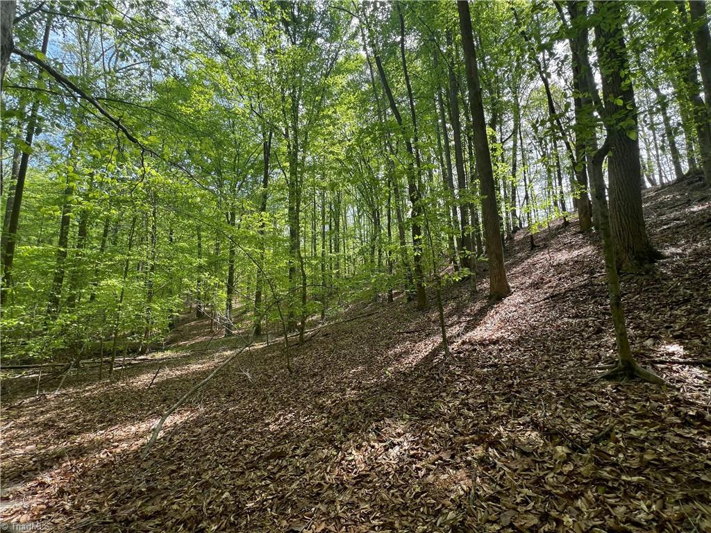 Pebble Brook Road, Sandy Ridge, North Carolina image 8