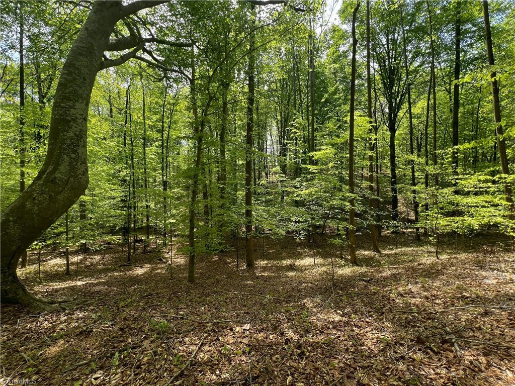Pebble Brook Road, Sandy Ridge, North Carolina image 4