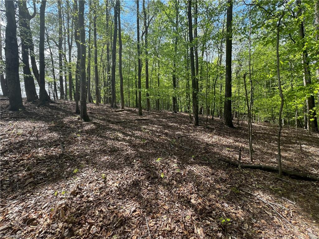 Pebble Brook Road, Sandy Ridge, North Carolina image 10