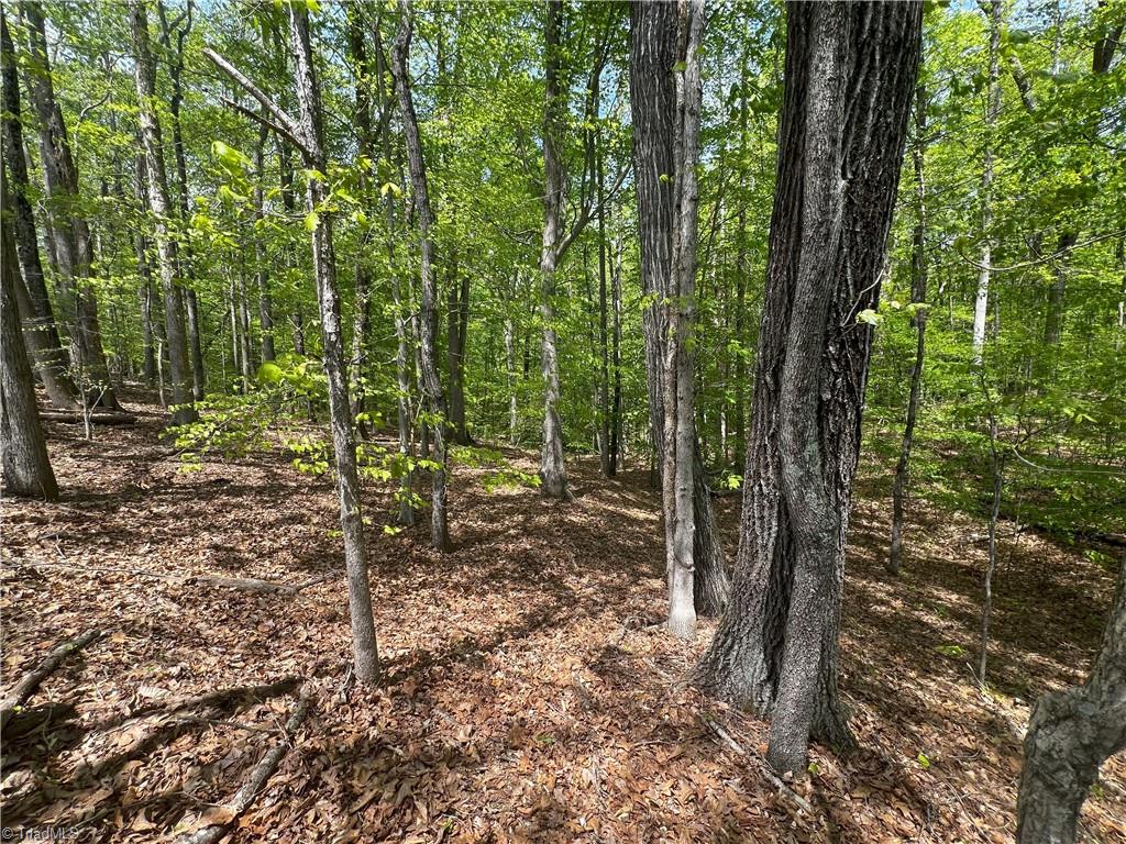 Pebble Brook Road, Sandy Ridge, North Carolina image 11