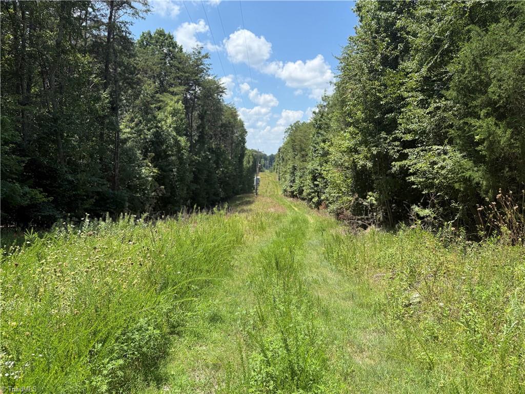 438 River Pines Trail