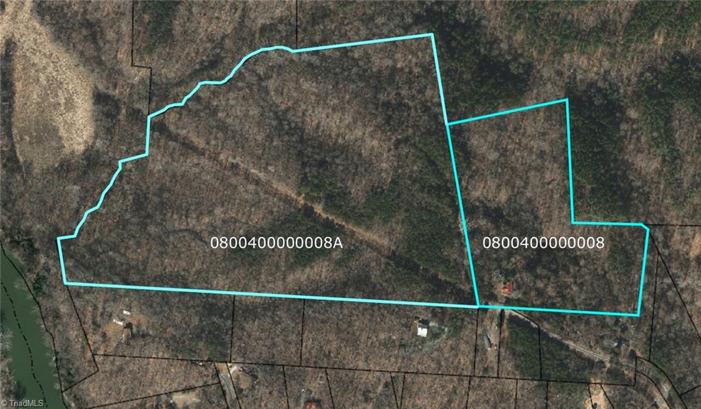 438 River Pines Trail