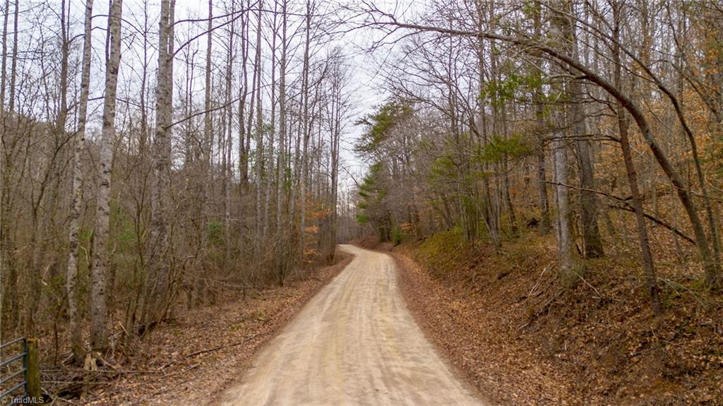 TBD E Brocktown Road, Moravian Falls, North Carolina image 12