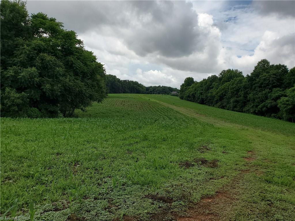 429 Harbour Lane, Dobson, North Carolina image 13