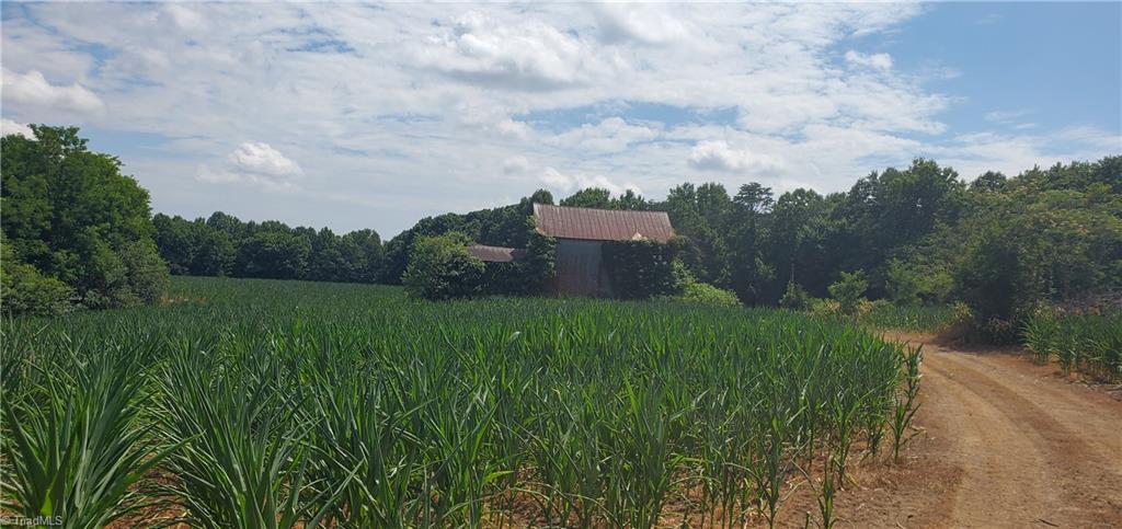 429 Harbour Lane, Dobson, North Carolina image 5