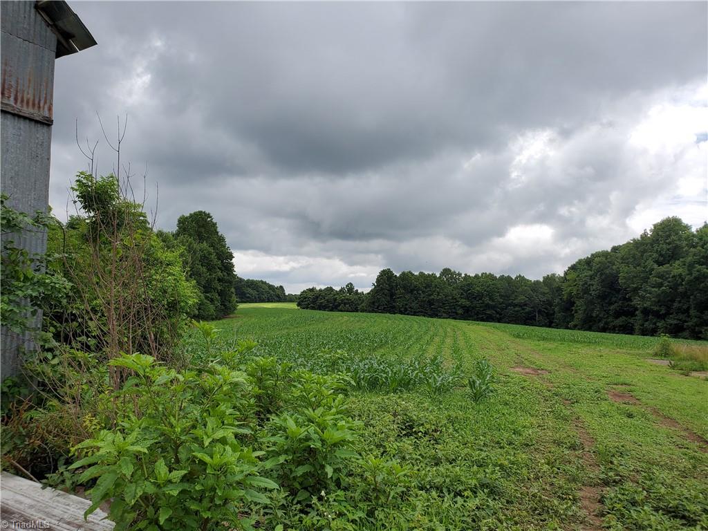 429 Harbour Lane, Dobson, North Carolina image 11