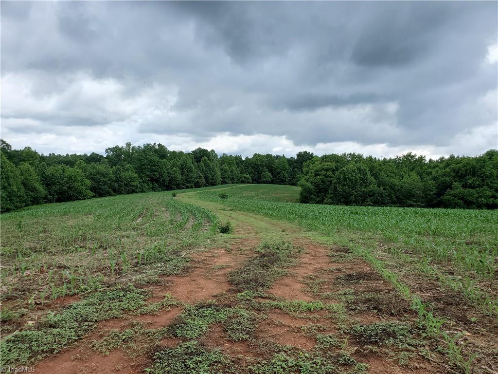 429 Harbour Lane, Dobson, North Carolina image 12